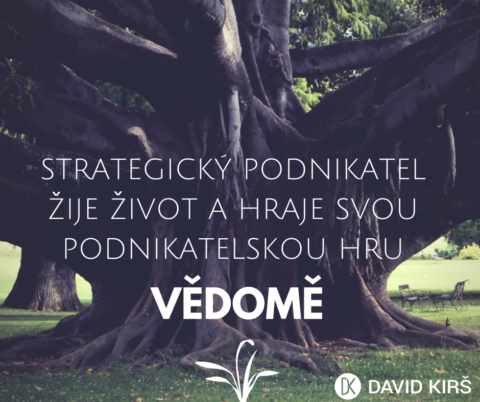 1_StrategickyPodnikatel_Vedomi_DavidKirs3